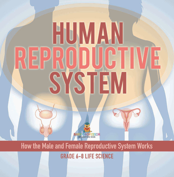 Human Reproductive System 