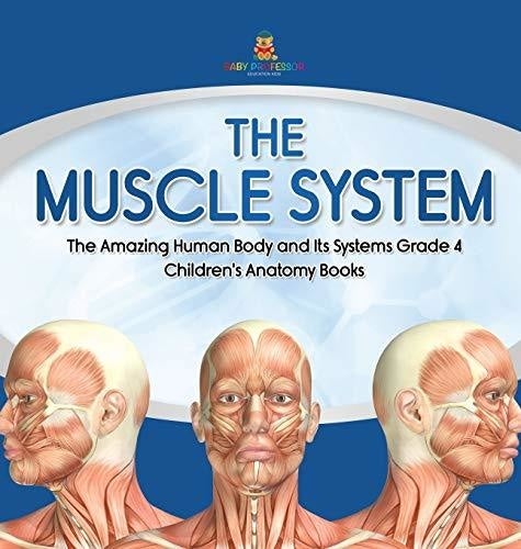 The Muscle System The Amazing Human Body And Its Systems Grade 4