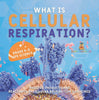 What is Cellular Respiration? Process, Products and Reactants of Cellular Respiration Explained | Grade 6-8 Life Science by 9781541997370 (Paperback)