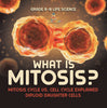 What is Mitosis? Mitosis Cycle vs. Cell Cycle Explained | Diploid Daughter Cells | Grade 6-8 Life Science by 9781541997387 (Paperback)