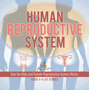 Human Reproductive System | How the Male and Female Reproductive System Works | Grade 6-8 Life Science by 9781541998582 (Paperback)