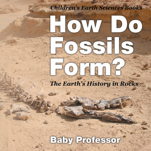 How Do Fossils Form The Earths History in Rocks | Childrens Earth Sciences Books