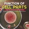 Function of Cell Parts: From the Nucleus to the Reticulum | Cellular Biology Grade 5 | Children's Biology Books