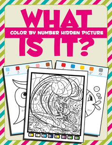 What Is It: Color By Number Hidden Picture