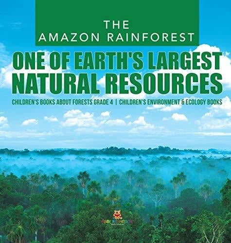 The Amazon Rainforest: One of Earth’s Largest Natural Resources ...